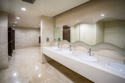 Contemporary Bathroom Features
